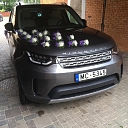 Flower trade, floristry