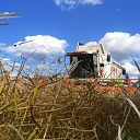 Kalnieši, crop farming