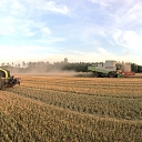 Kalnieši, crop farming