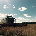 Kalnieši, crop farming