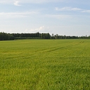 Гольтмани