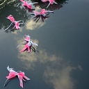 Декор свадебных авто