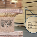 Arco group of timber marking