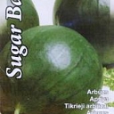 Арбузы. Магазины семян по всей Латвии