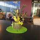 "Latta", LTD, shop-cafe