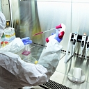 IVF Riga Stem Cell Center, work in clean rooms