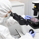 IVF Riga Stem Cell Center, sample processing