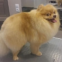 Preparation for exhibitions