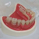 Dental technician