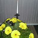 Funeral floristry, flowers, wreaths