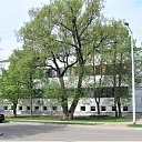 The main entrance of the white building