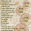 Business lunch in Aizkraukle