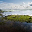 Engure Lake Nature Park