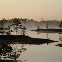 КНП Кемерское болото