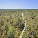 Large Ķemeru moorland footbridge