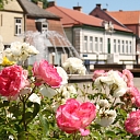 Tukums City of Roses