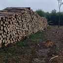 Apaļkoku iepirkšana, BŪVELEMENTI