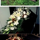 Designing the coffin