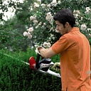 Hedge trimmers Alko