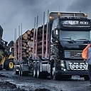 Loggers in Madona, Daugavlici