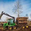 Forest removal in Daugavlici