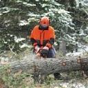 Forestry worker Daugavlici