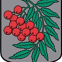 Coat of arms of Arona parish