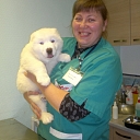 Veterinary clinic. Vaccination