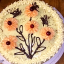 Homemade cakes for children's parties