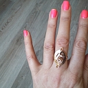 A ring with a clef symbol