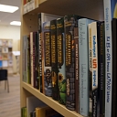 Latvijas Neredzīgo bibliotēka. Grāmatas