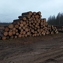 Sale of timber materials