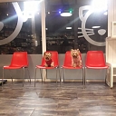 GROBINA VETERINARY CLINIC