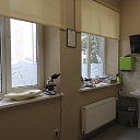 Veterinārs