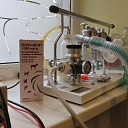 Рентген для животных