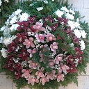 "Hortenzija", Flower trade, Floristry