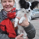 Practicing veterinarian