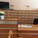 Specialist consultations