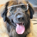 Zoogoods, animal care