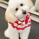 Zoogoods, animal care and care1)