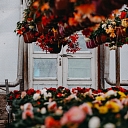 Озеленение