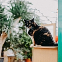 Услуги флористики