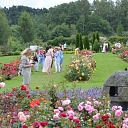 Rose garden with visitors – excursions by Daila Rozes in Tukums