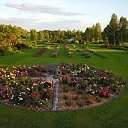 A blooming rose garden in the landscape – Daila Roze's collection in Latvia