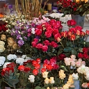 Flower shop "Bouquet"