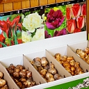 Flower shop "Bouquet"