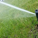 Watering systems