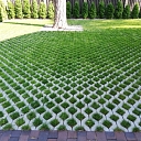 landscaping of pedestrian paths and squares