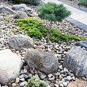 flower beds design