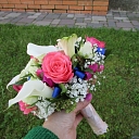 Cut flowers
